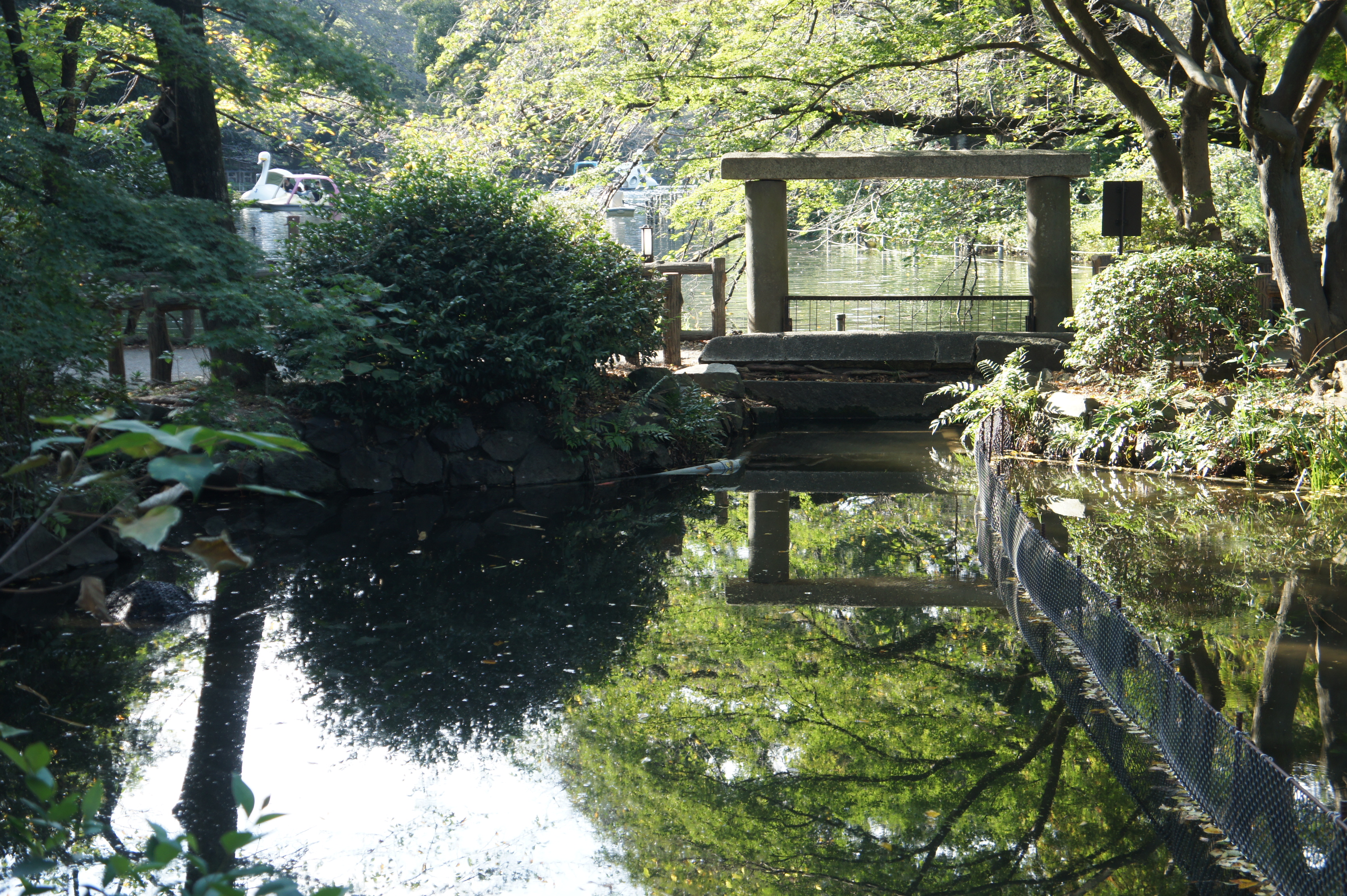 井の頭水門１