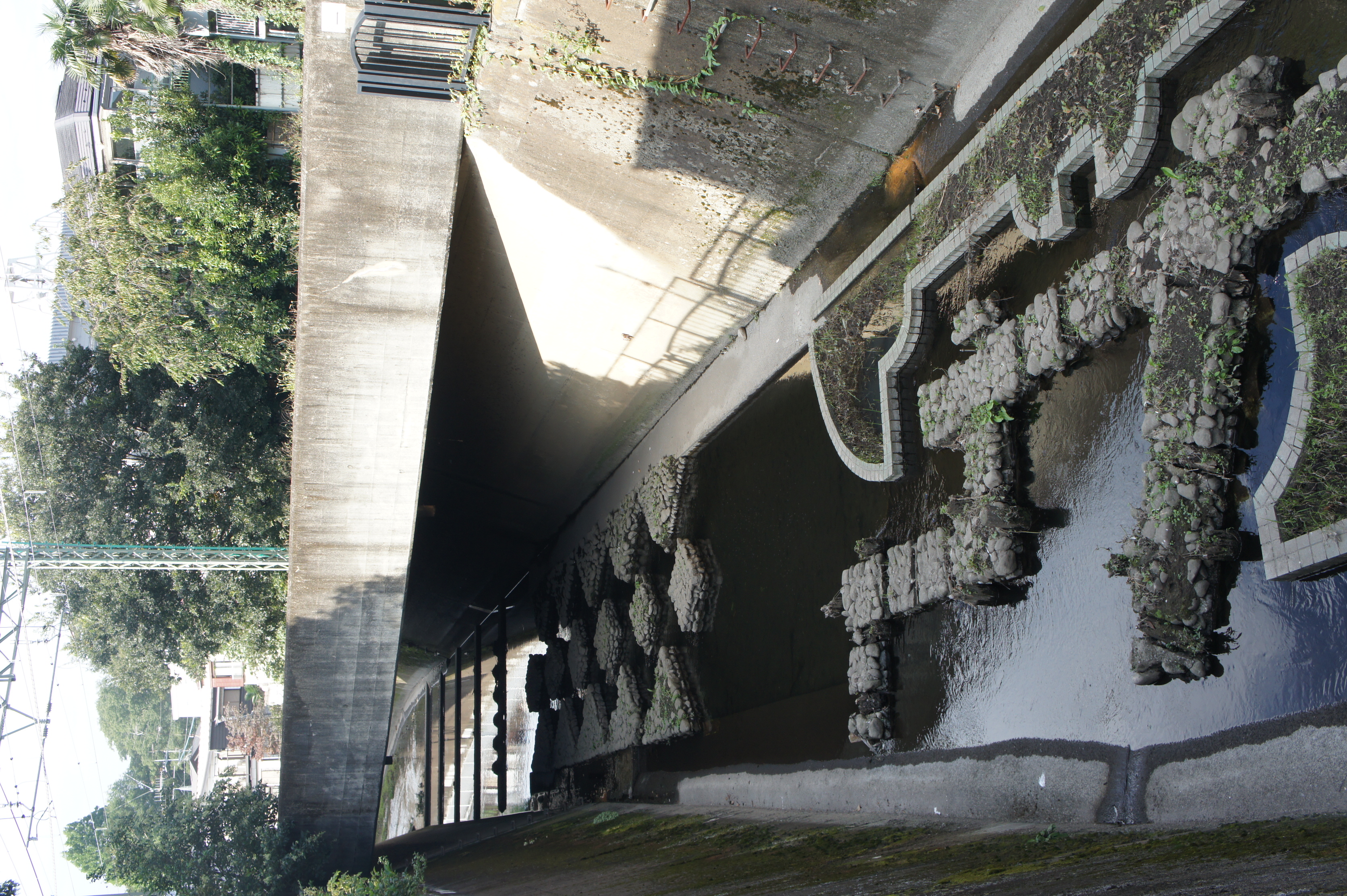 井の頭線鉄橋２