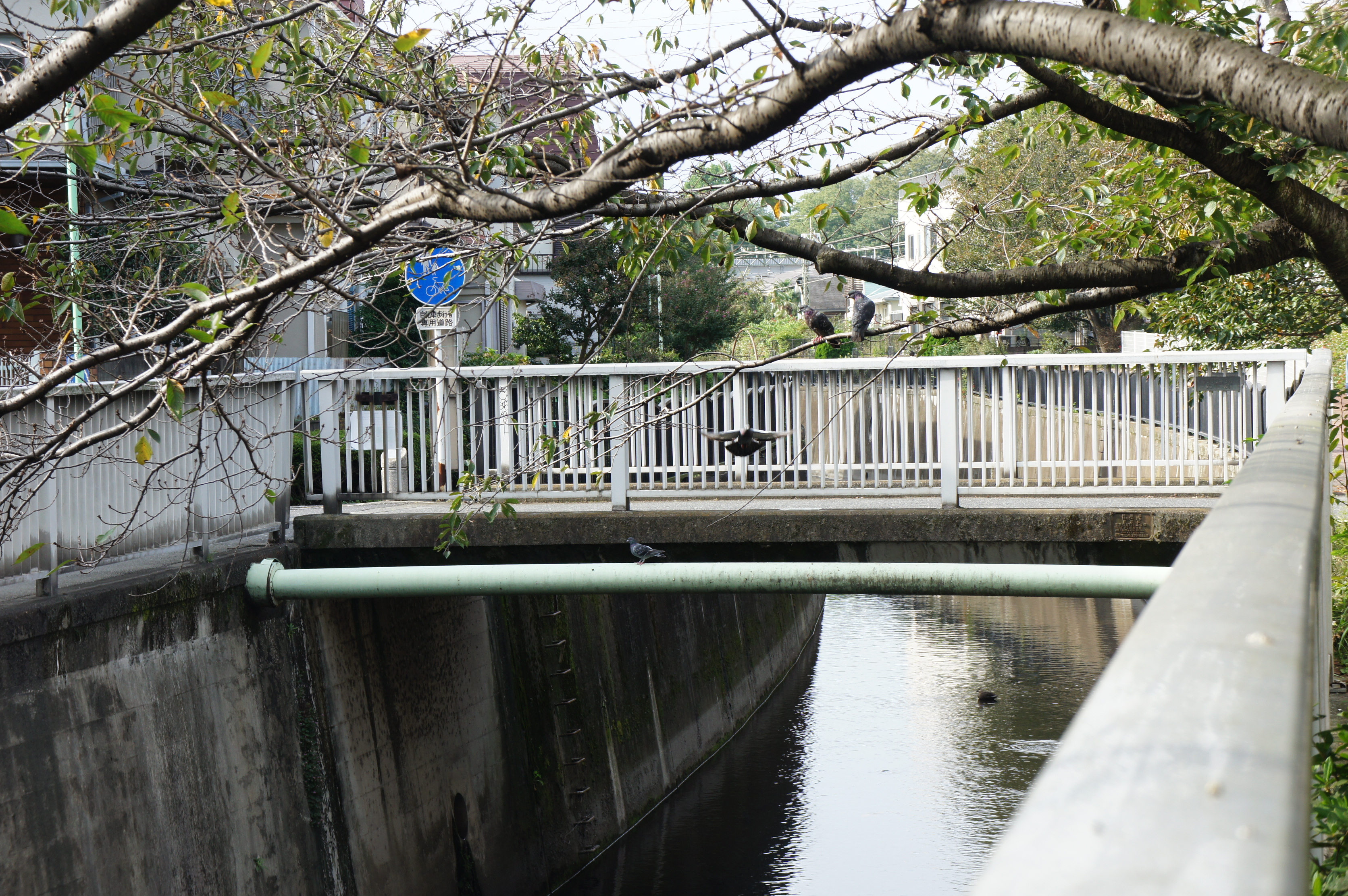 神田橋１