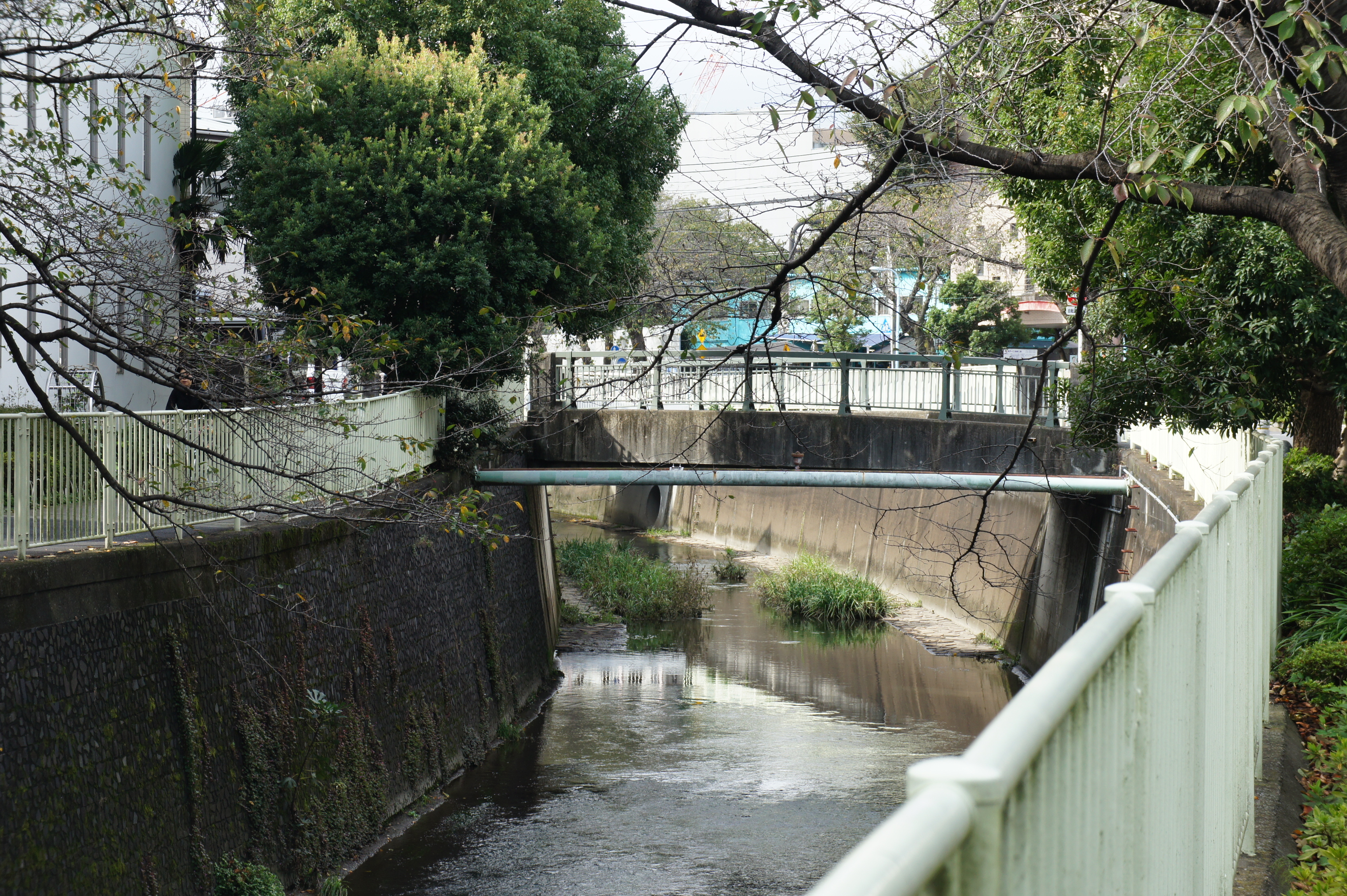 池袋橋１