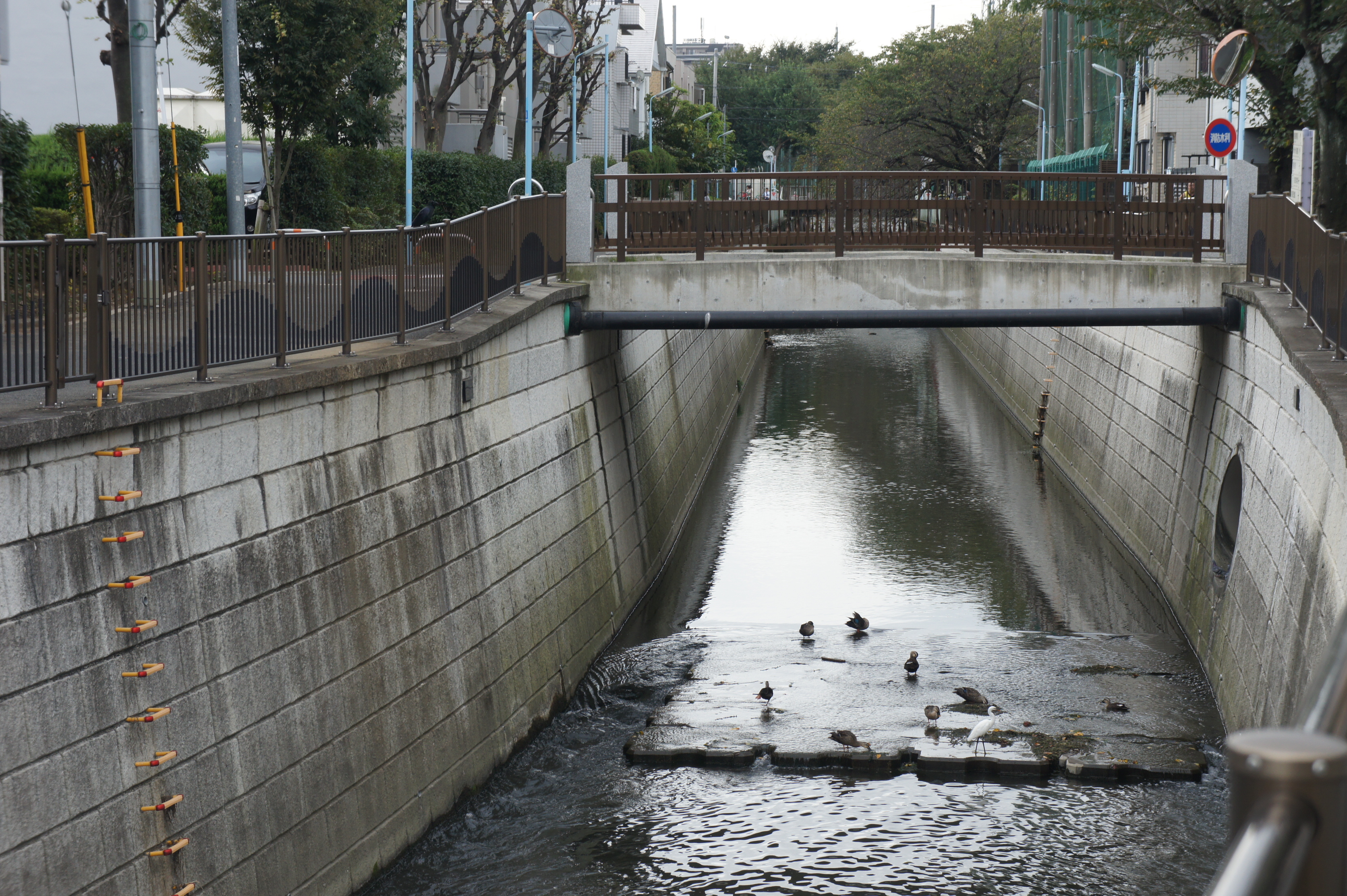 一本橋１