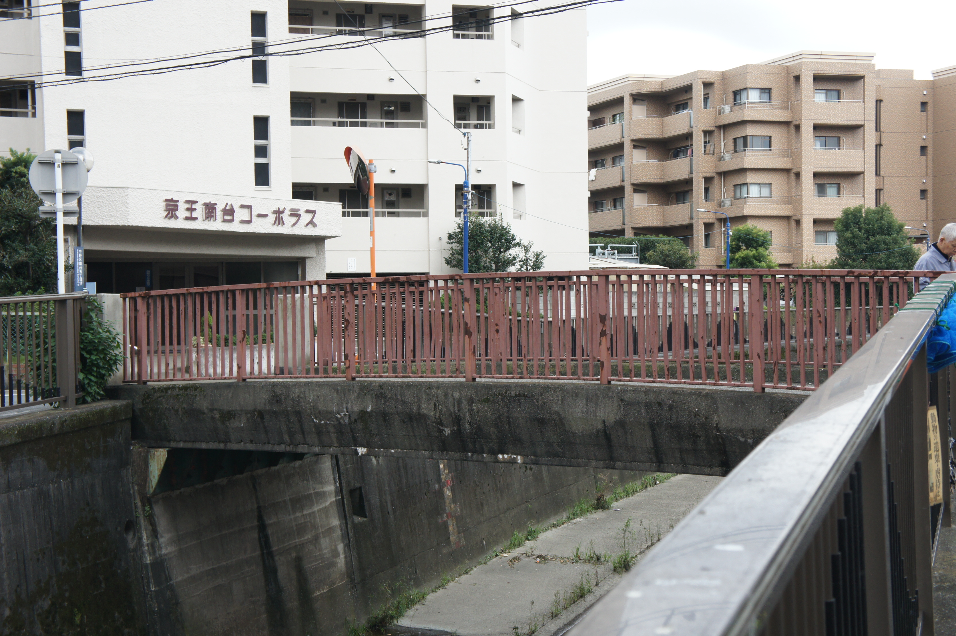 向田橋１