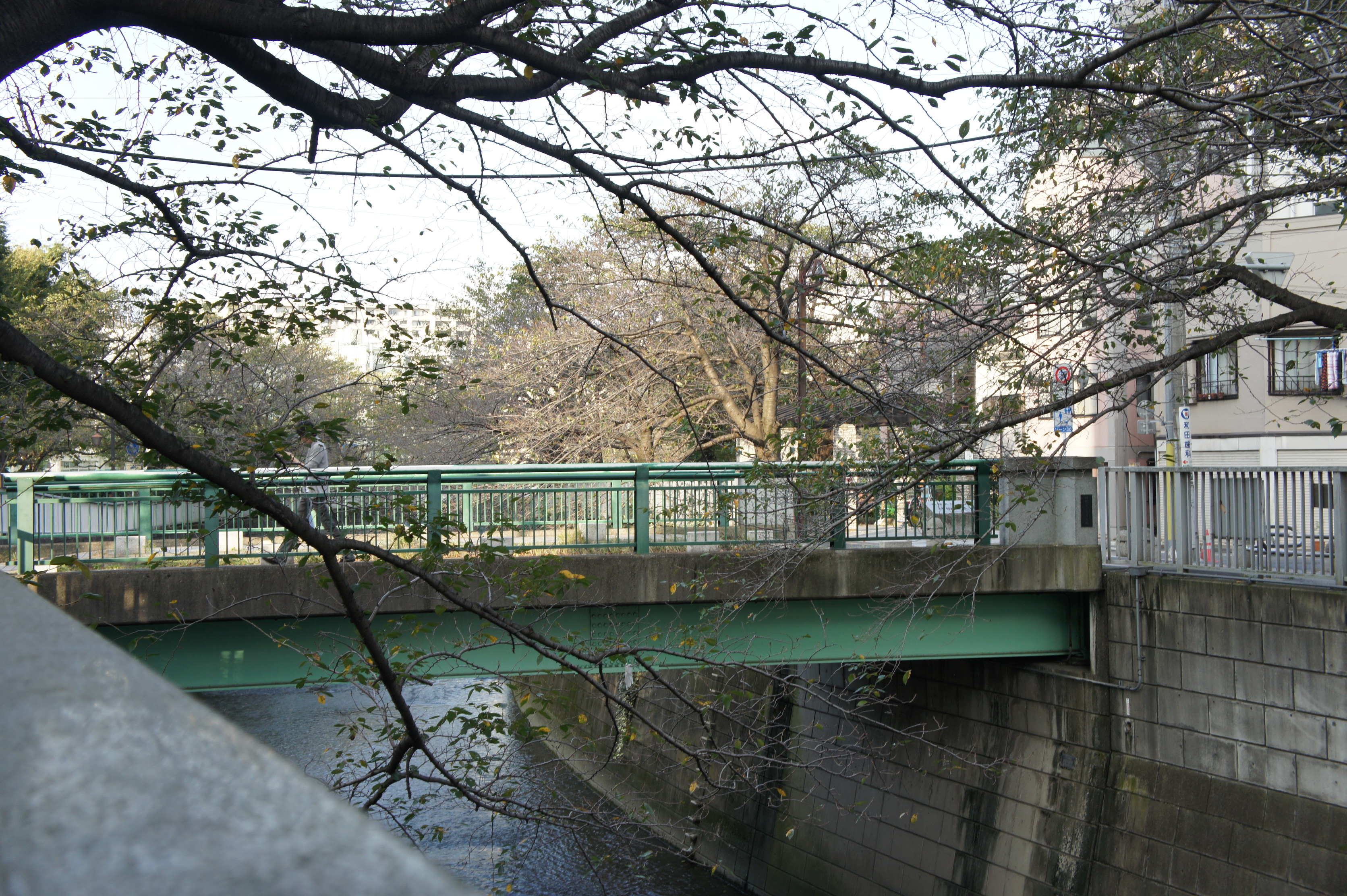 大東橋１