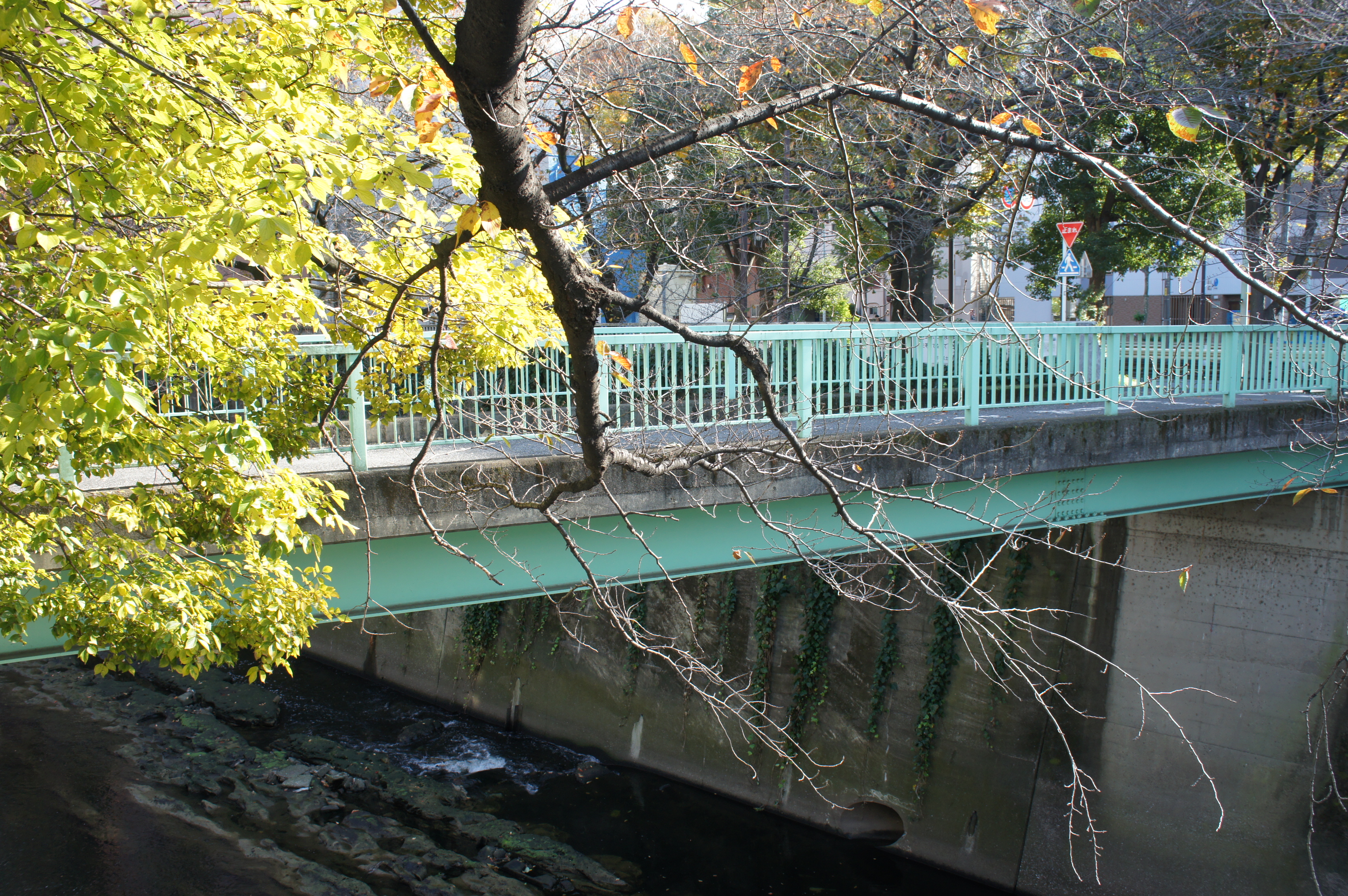 三島橋１