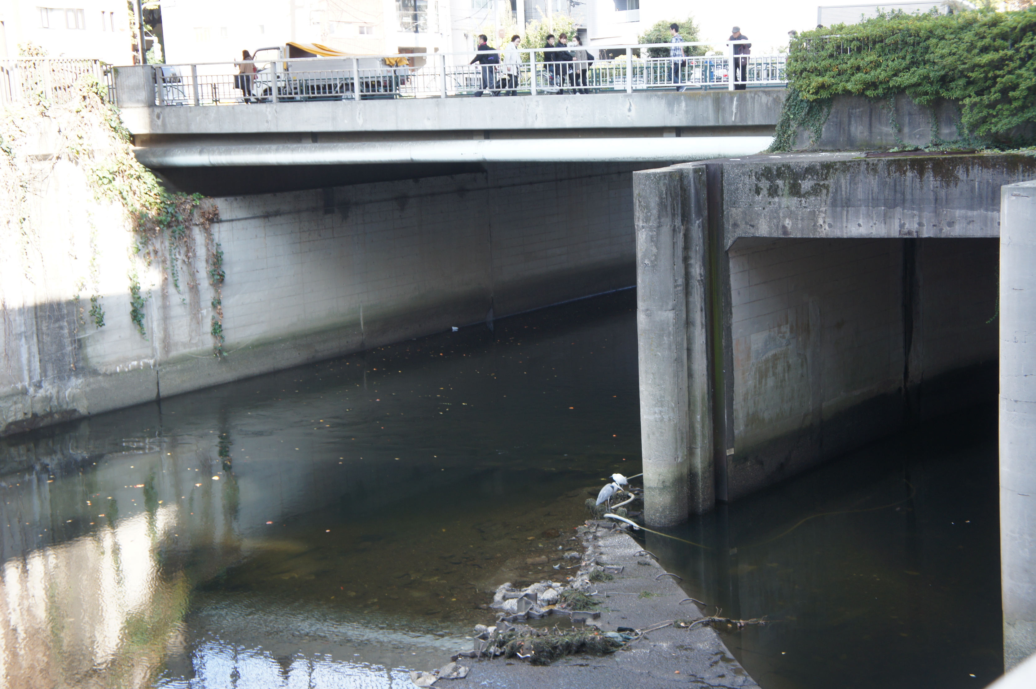 江戸川橋２